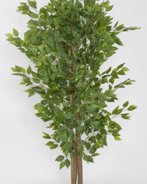 Artificial Ficus Tree 160cm