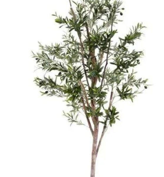 Faux Olive Tree 150cm